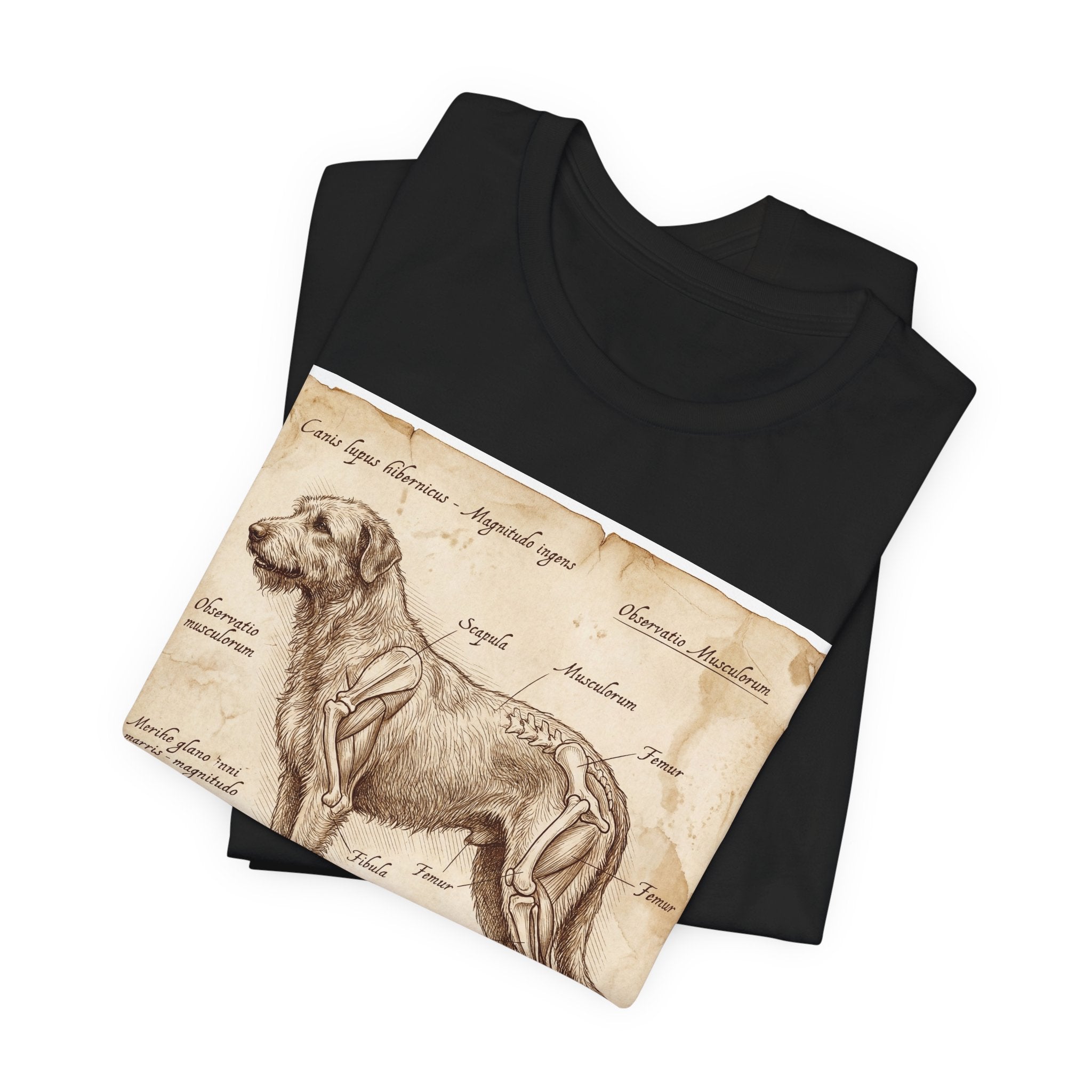 Da Vinci Style Irish Wolfhound T-Shirt — Anatomical Parchment Art Print