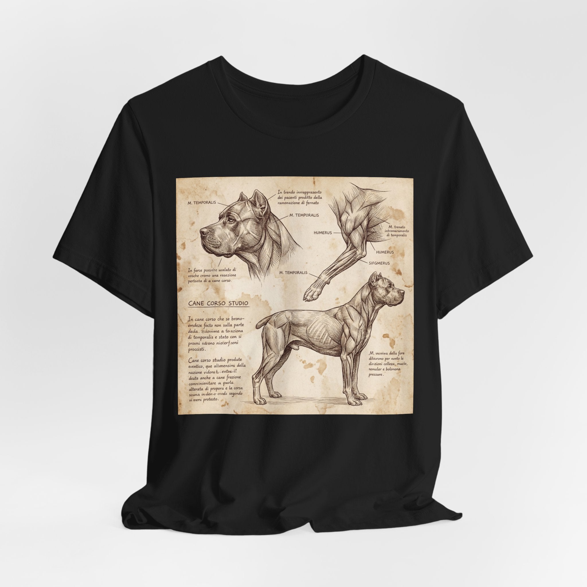 Da Vinci Style Cane Corso T-Shirt — Anatomical Study Art Print