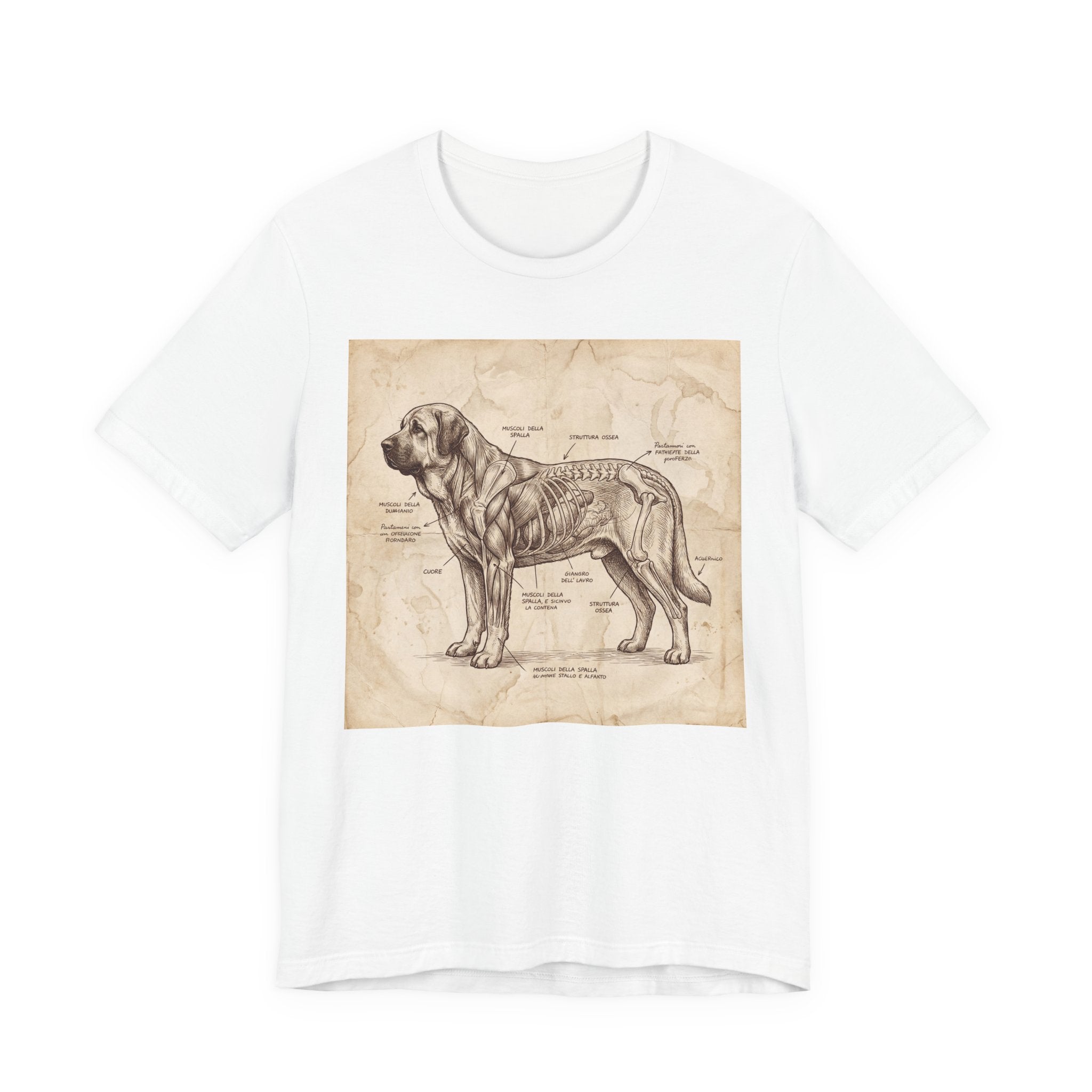 Da Vinci Style Spanish Mastiff T-Shirt — Anatomical Parchment Art Print