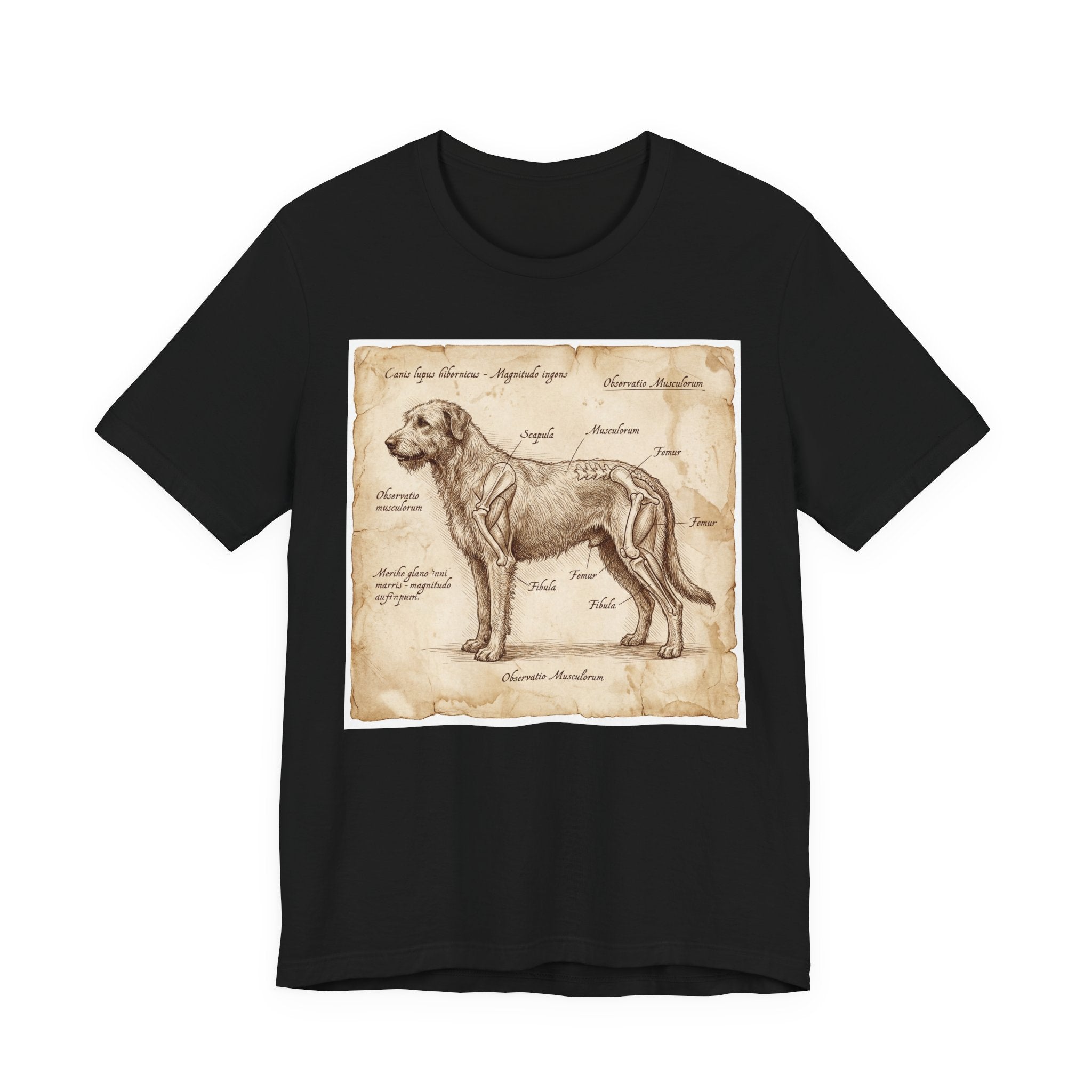 Da Vinci Style Irish Wolfhound T-Shirt — Anatomical Parchment Art Print