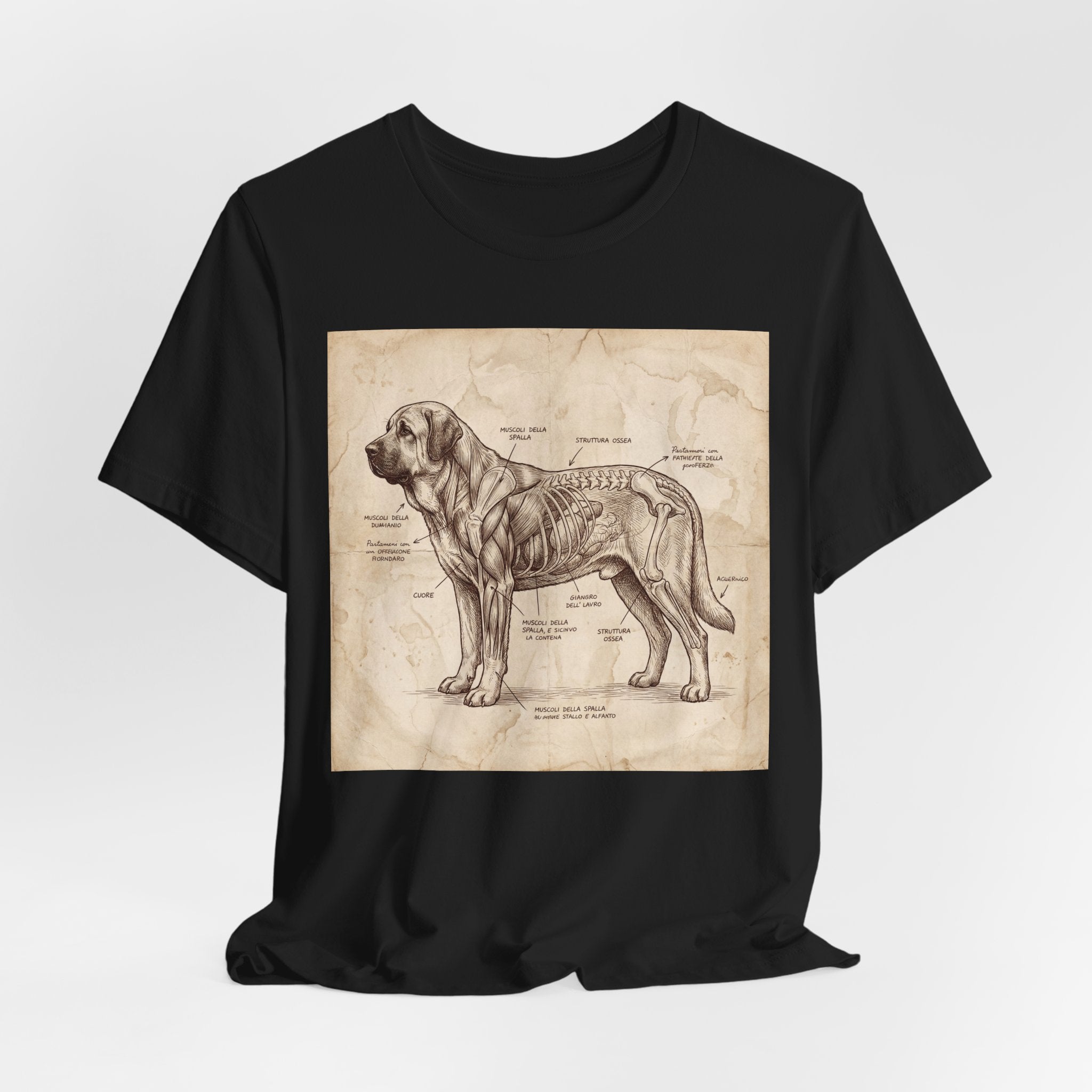 Da Vinci Style Spanish Mastiff T-Shirt — Anatomical Parchment Art Print