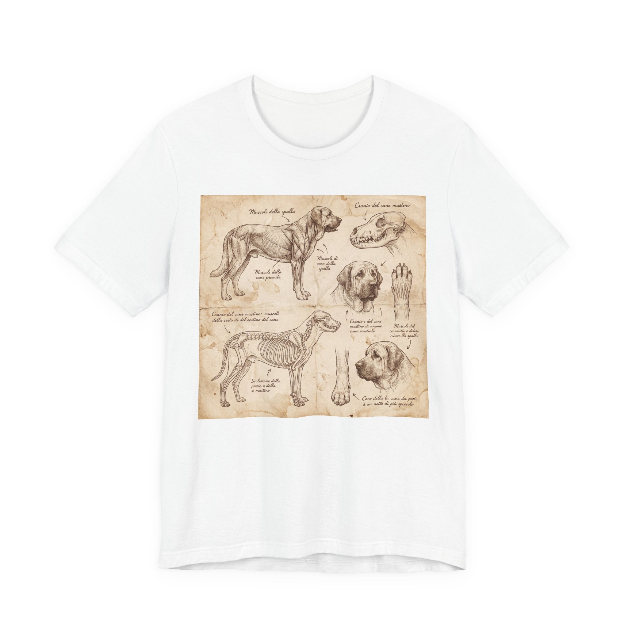 Da Vinci Style Mastiff T-Shirt — Anatomical Study Sepia Art Print