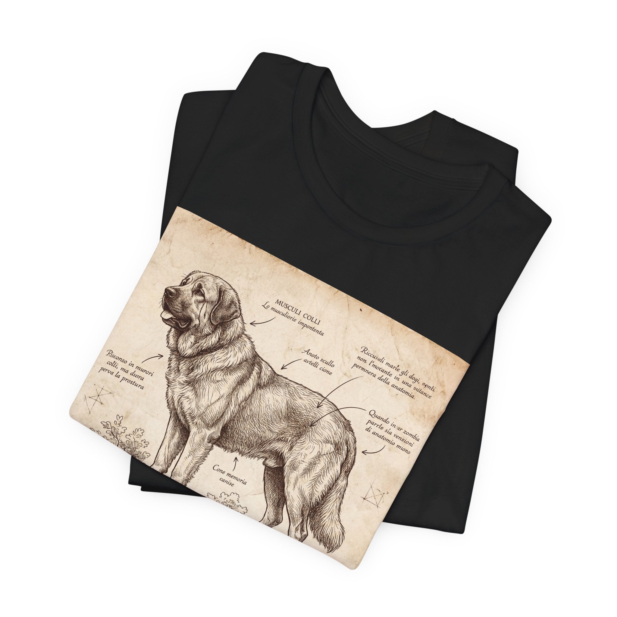 Anatomical Sketch Spanish Mastiff T-Shirt — Parchment Study Art Print