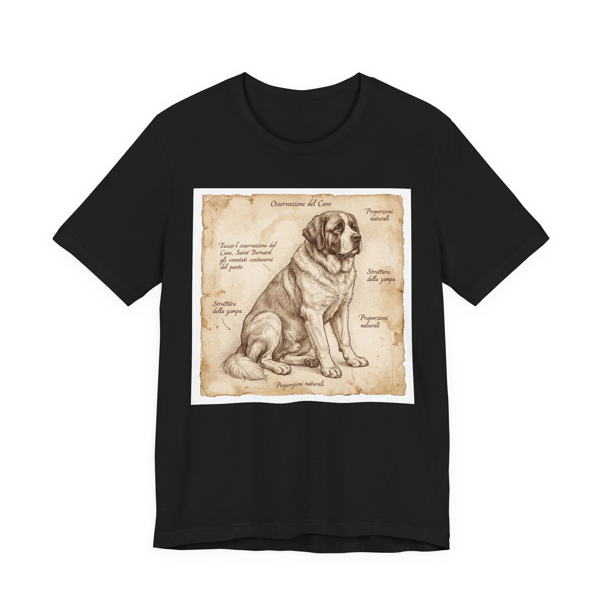 Anatomical Study Saint Bernard T-Shirt — Aged Parchment Art Print