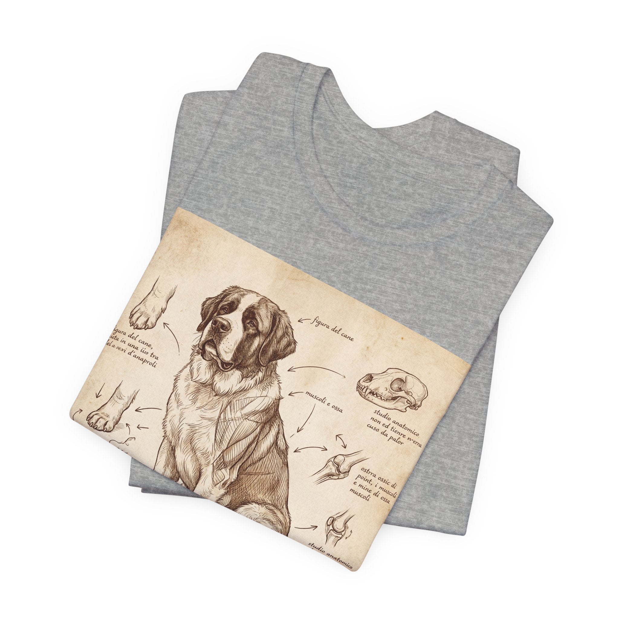Anatomical Study Saint Bernard T-Shirt — Da Vinci Sketch Art Print