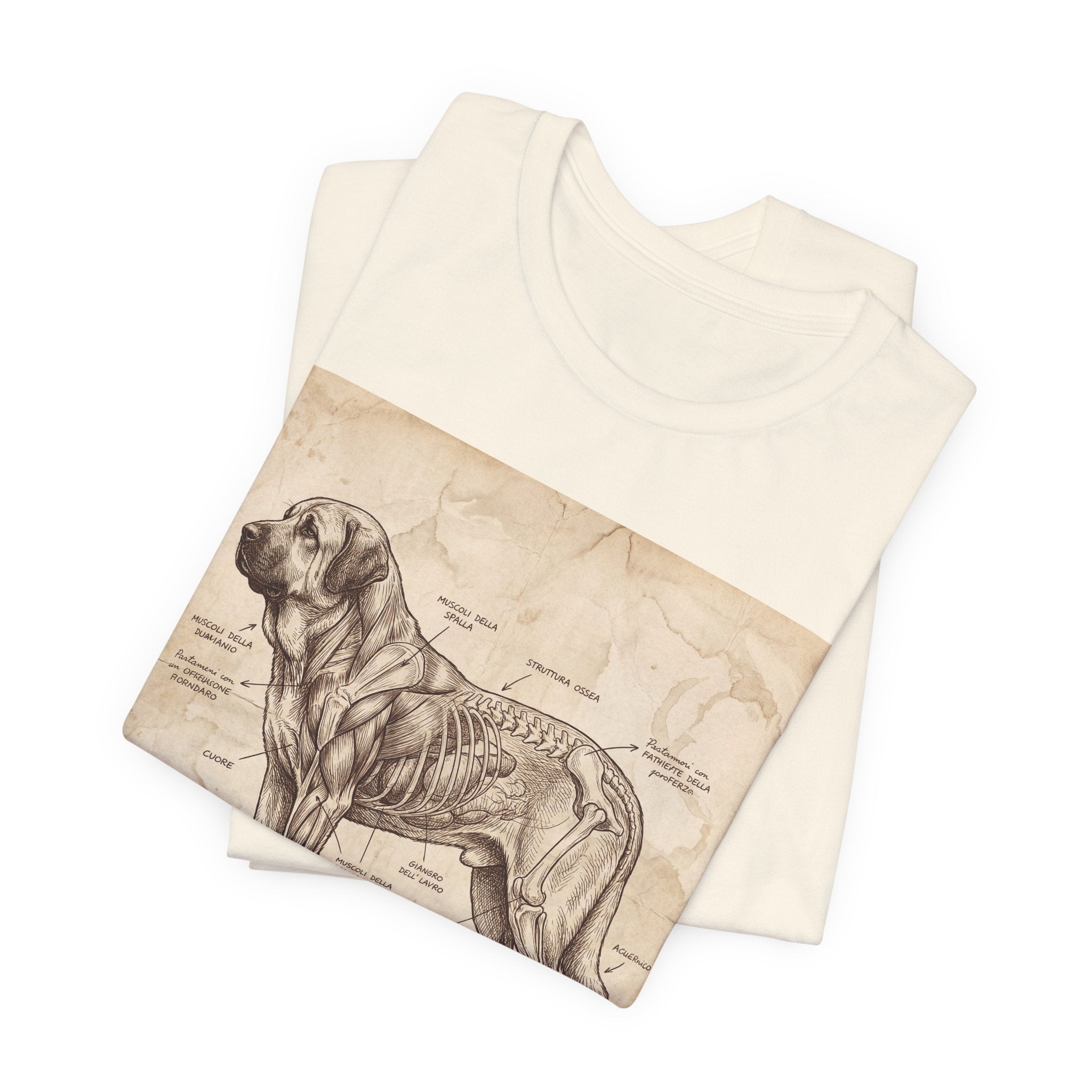 Da Vinci Style Spanish Mastiff T-Shirt — Anatomical Parchment Art Print