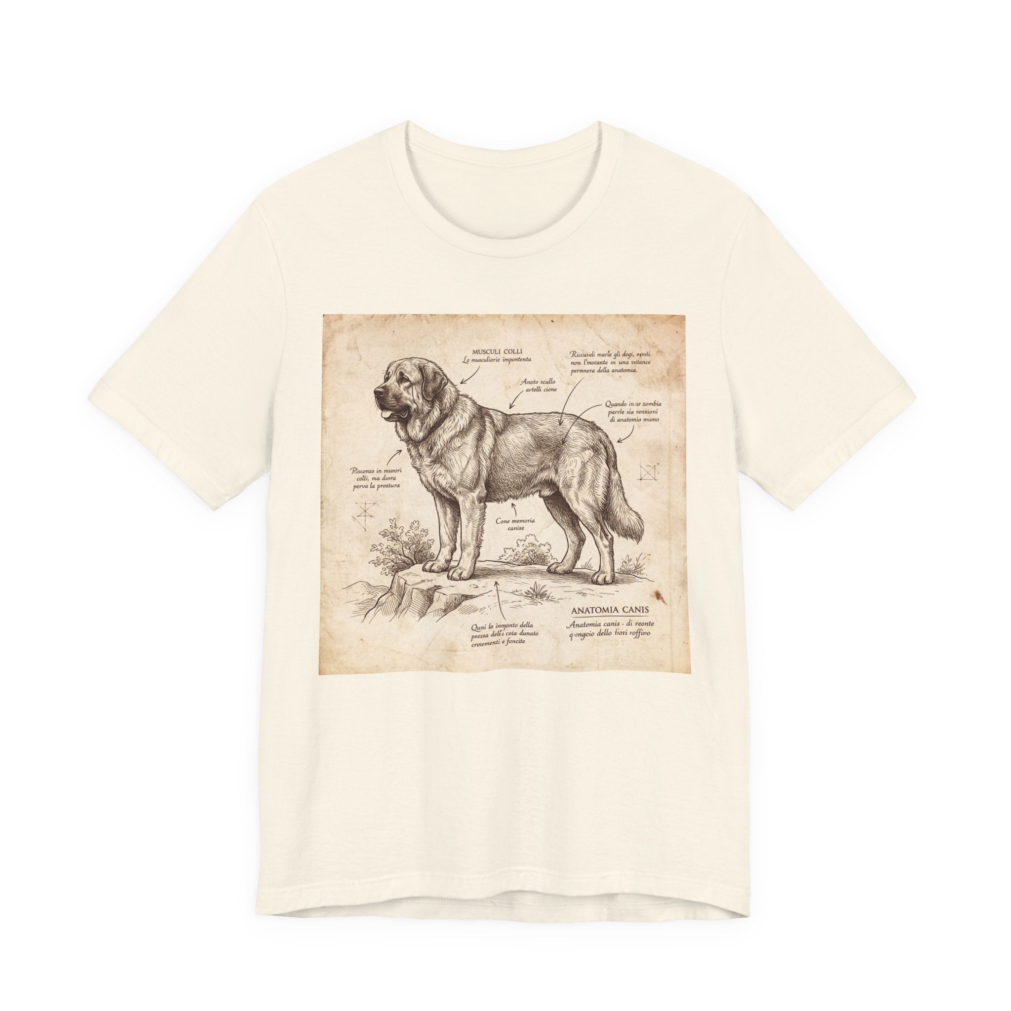 Anatomical Sketch Spanish Mastiff T-Shirt — Parchment Study Art Print