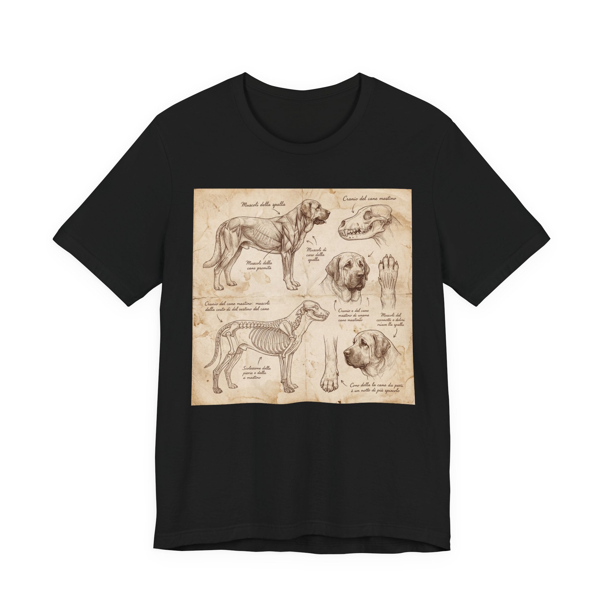 Da Vinci Style Mastiff T-Shirt — Anatomical Study Sepia Art Print
