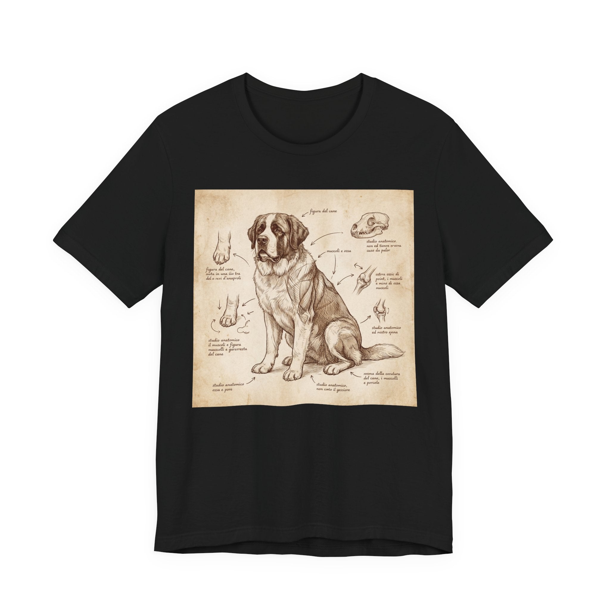 Da Vinci Style Saint Bernard T-Shirt — Anatomical Sketch Art Print