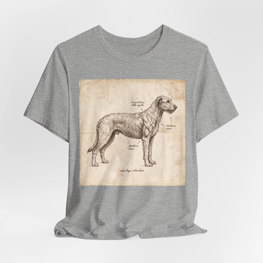Anatomical Irish Wolfhound T-Shirt — Aged Parchment Sketch Art Print