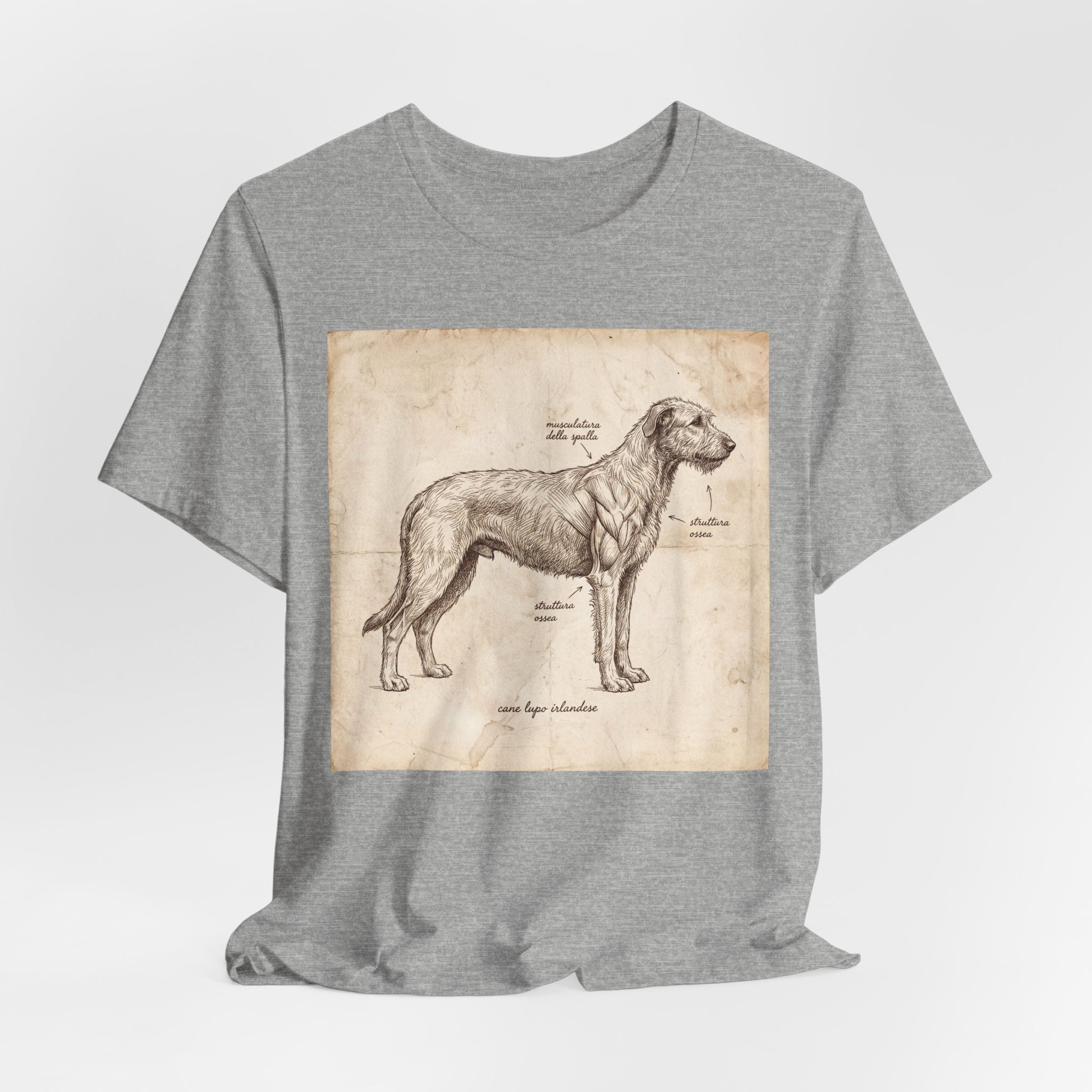 Anatomical Irish Wolfhound T-Shirt — Aged Parchment Sketch Art Print