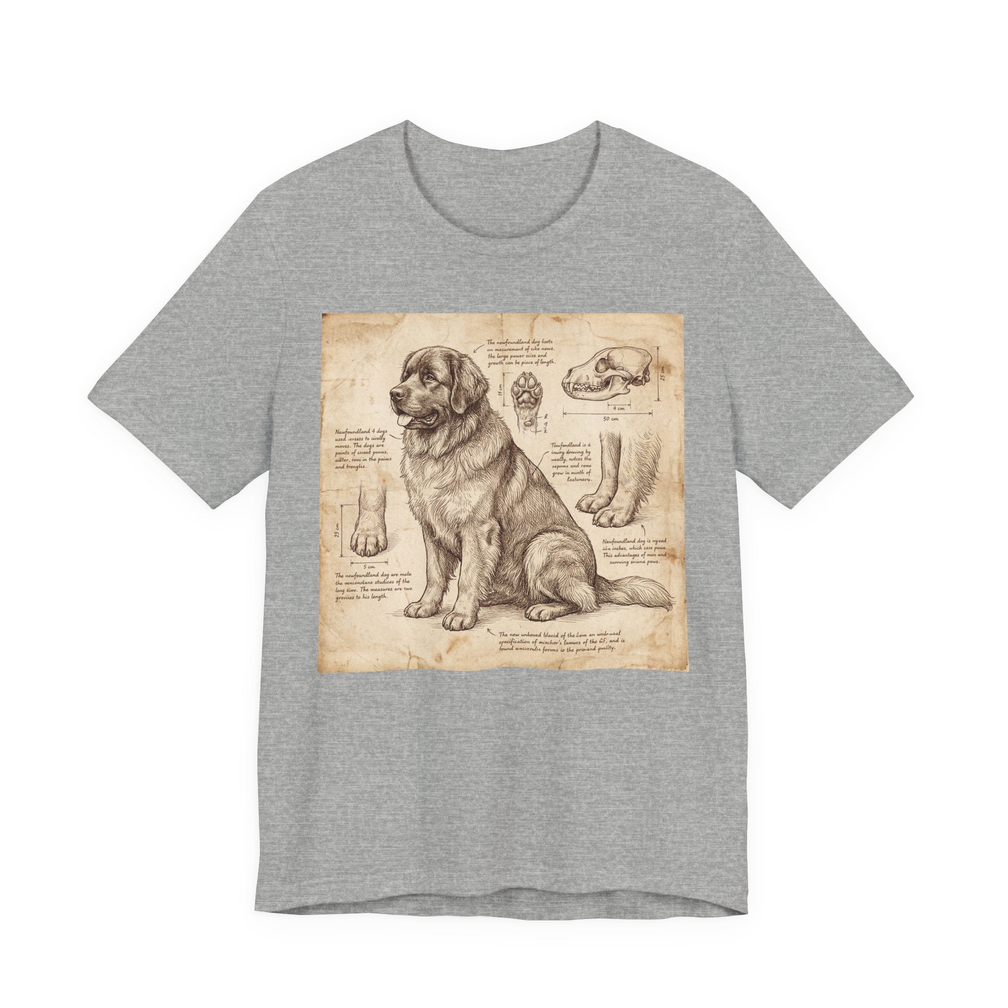 Da Vinci Style Newfoundland T-Shirt — Anatomical Parchment Art Print