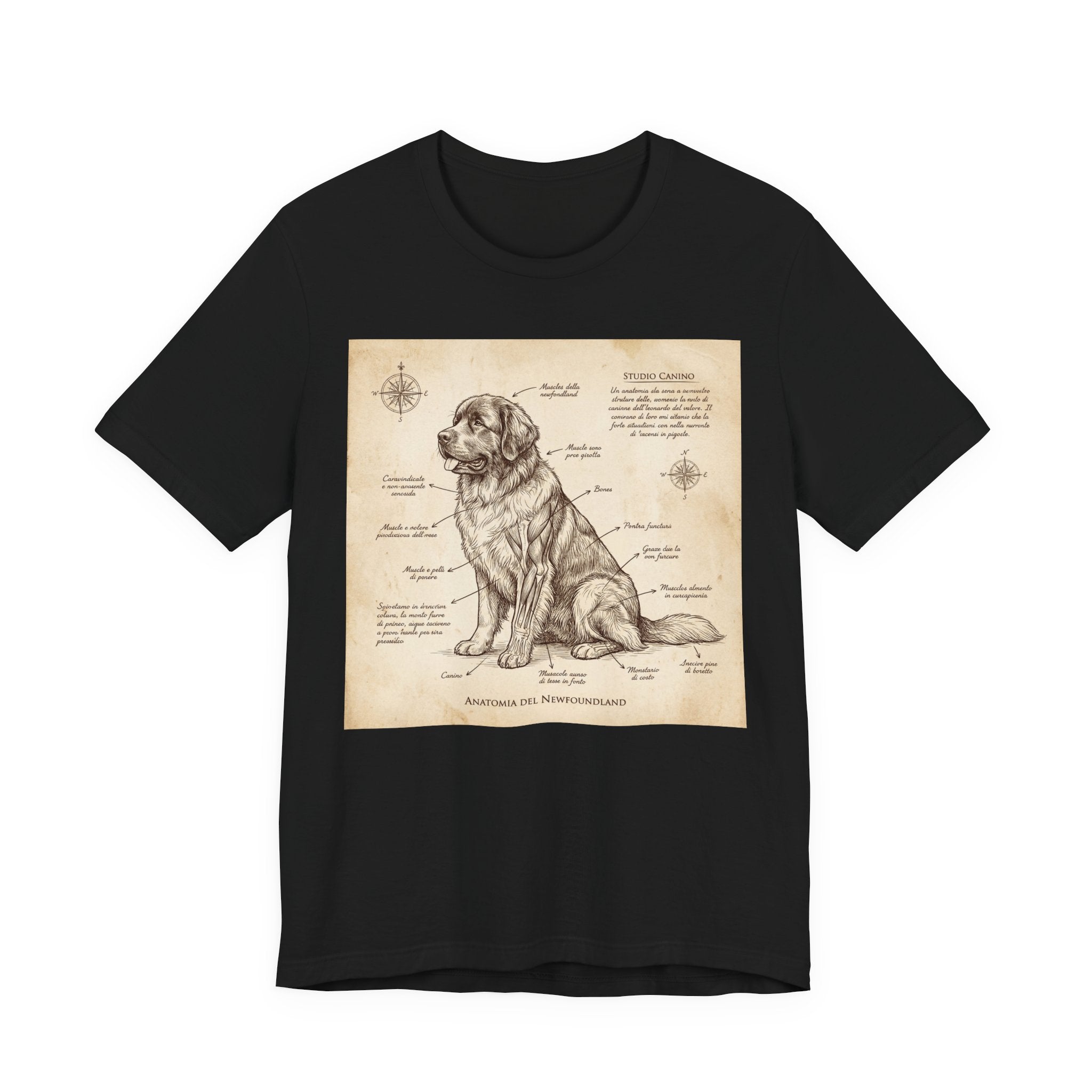 Da Vinci Style Newfoundland T-Shirt — Sepia Anatomical Study Art Print