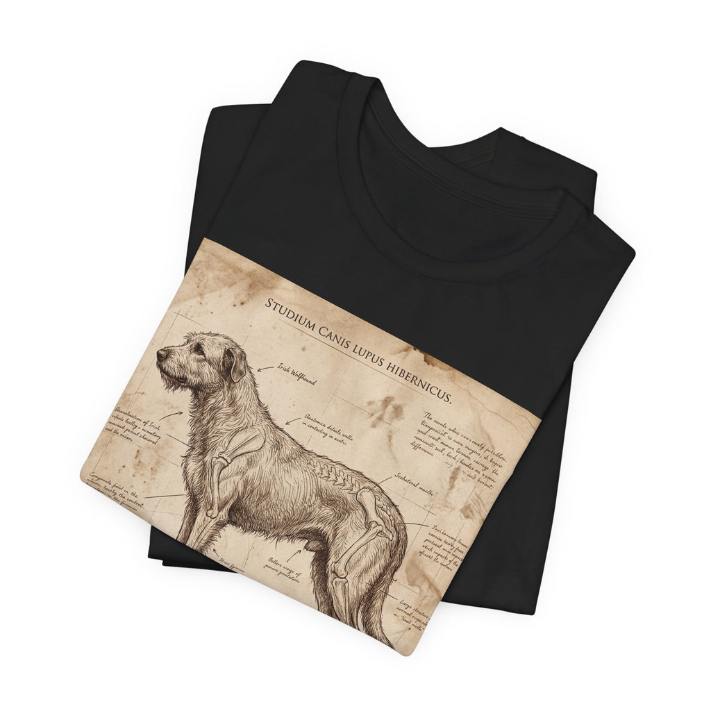 Da Vinci Study Irish Wolfhound T-Shirt — Aged Parchment Art Print